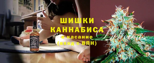 ГАЛЛЮЦИНОГЕННЫЕ ГРИБЫ Каменногорск