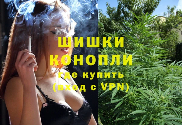 гидропоника Инта