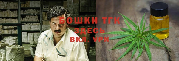 ALPHA PVP Иннополис