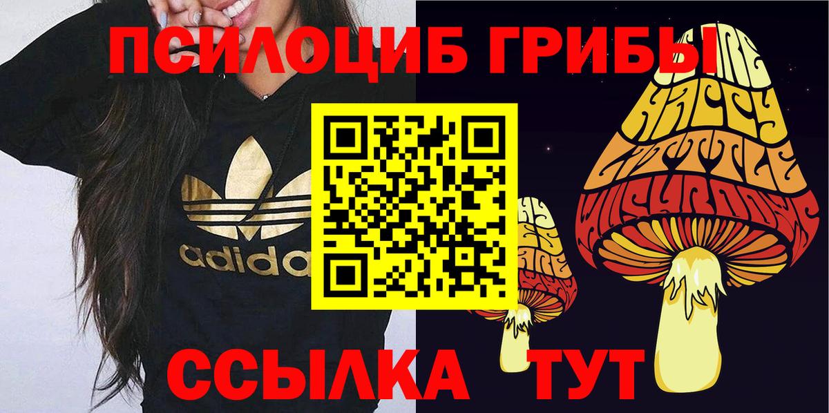 Кашира  Псилоцибиновые грибы MAGIC MUSHROOMS  Галлюциногенные грибы MAGIC MUSHROOMS  Вход с VPN 